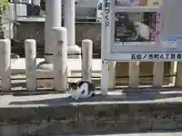 五位ノ池神社の動物