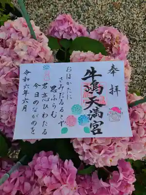牛嶋天満宮の御朱印