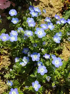 大鏑神社(福島県)