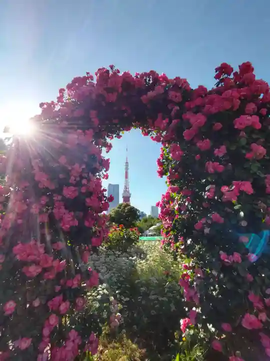 芝東照宮の周辺