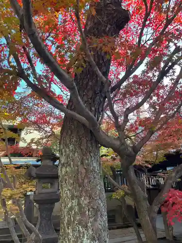 久留米宗社　日吉神社(福岡県)