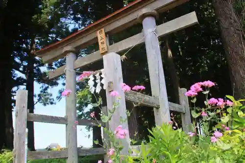 岩上神社の鳥居