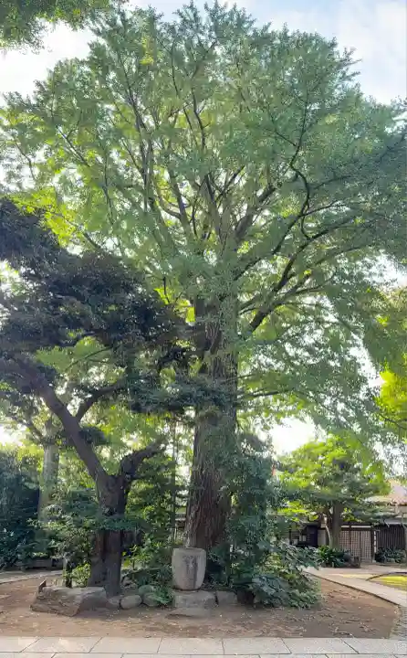 奥澤神社(東京都)
