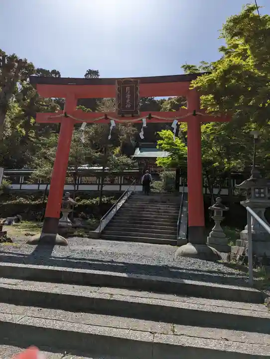 月読神社(松尾大社摂社)の鳥居