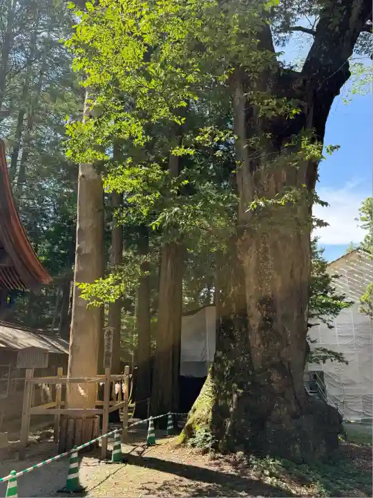 諏訪大社(長野県)