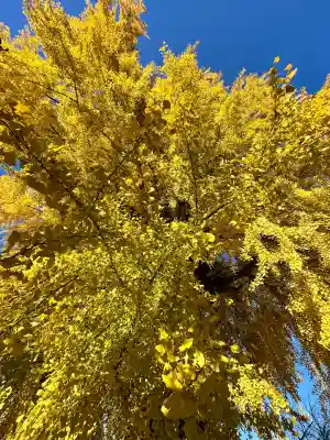 丹生酒殿神社(和歌山県)