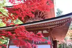 高野山金剛峯寺(和歌山県)