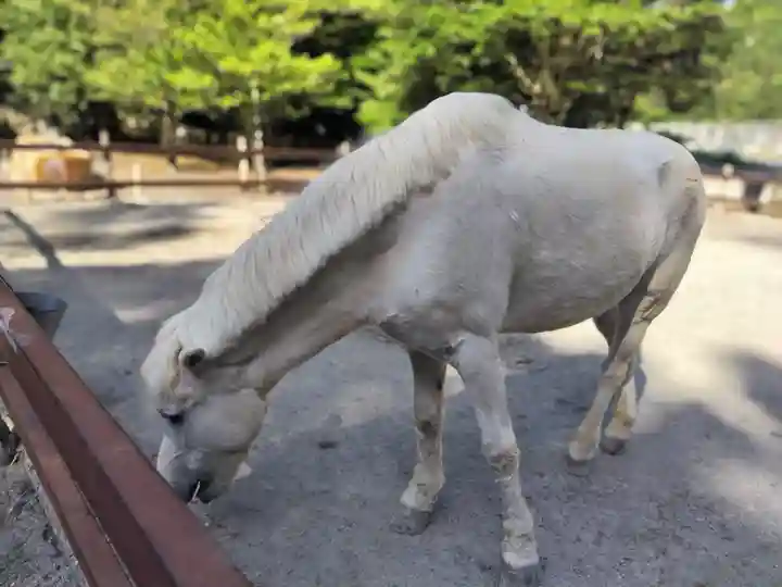 丹生川上神社(下社)(奈良県)