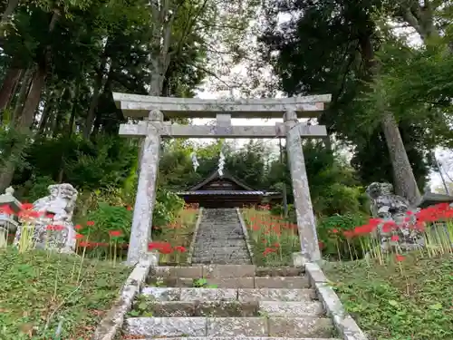 八幡神社の鳥居