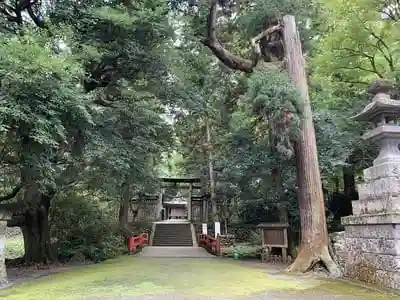 武蔵二宮 金鑚神社の建物その他