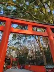 河合神社（鴨川合坐小社宅神社）(京都府)