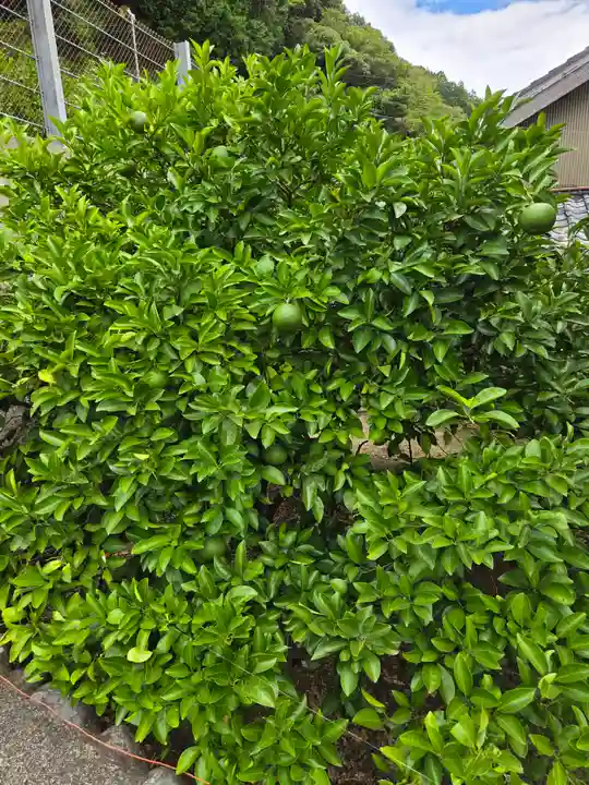 神明宮(静岡県)