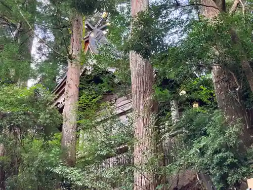 天河大辨財天社の自然