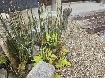 誓興寺(奈良県)