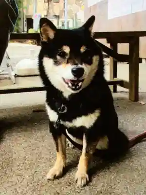上目黒氷川神社(東京都)