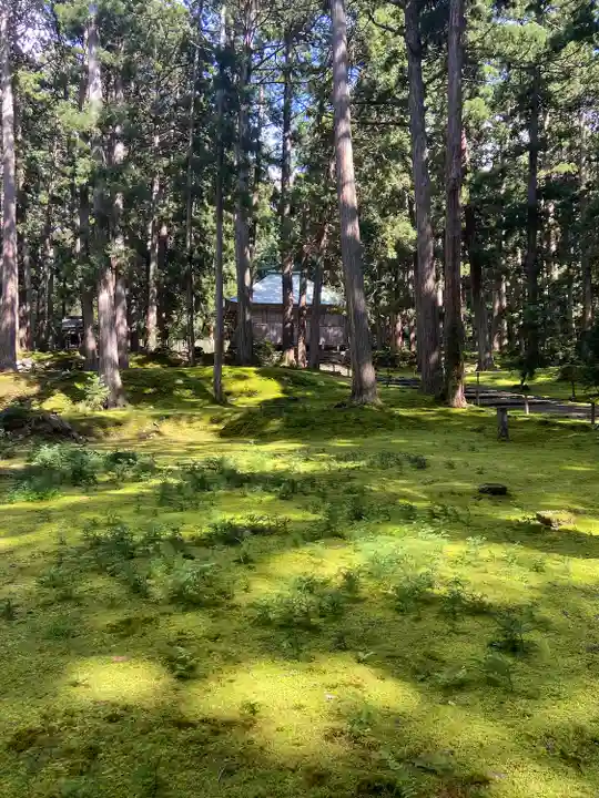 平泉寺白山神社(福井県)