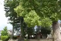 須佐男神社(奈良県)
