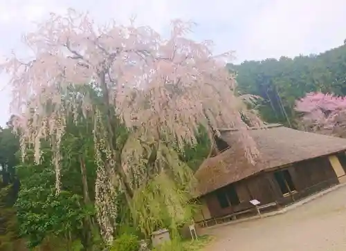 高麗神社の自然