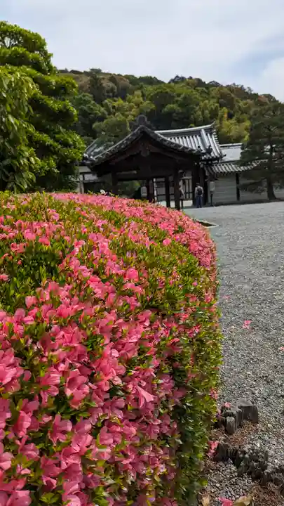 御寺 泉涌寺(京都府)