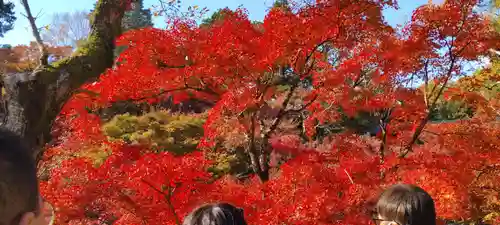 東福禅寺（東福寺）(京都府)