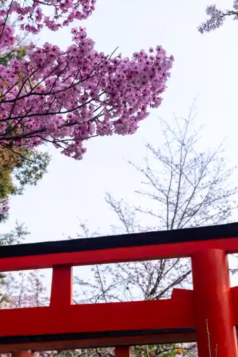 平野神社(京都府)