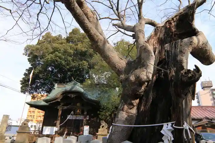 阿邪訶根神社の本殿・本堂