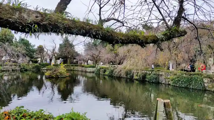 三嶋大社(静岡県)