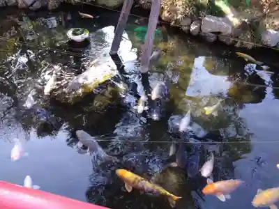 今泉八坂神社(栃木県)