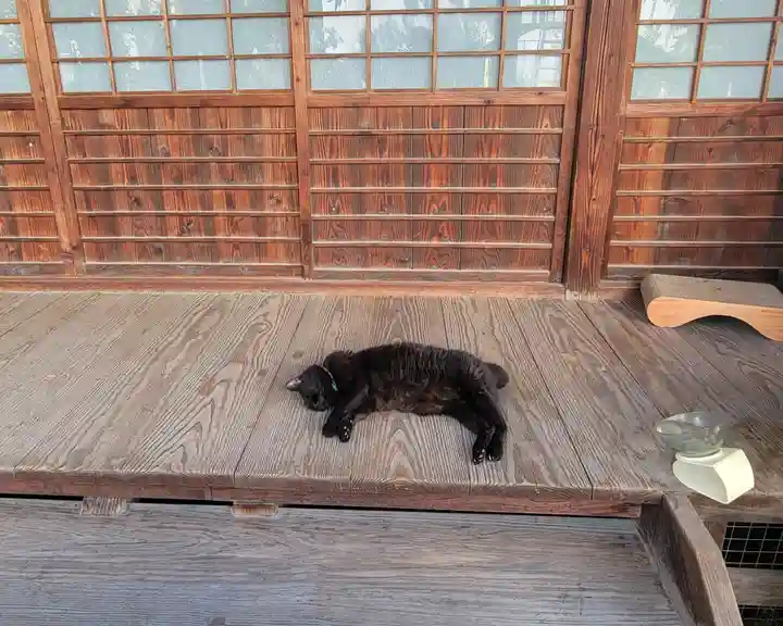 圓光寺(愛媛県)