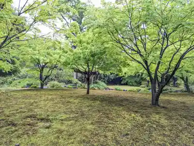 城南宮(京都府)