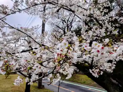 慈恩寺(埼玉県)