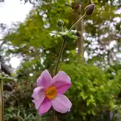 長命寺(福島県)