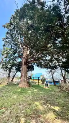 荒神社(北海道)