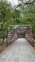 飛驒護國神社(岐阜県)