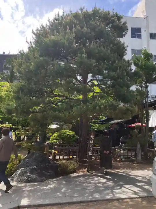 四柱神社の自然