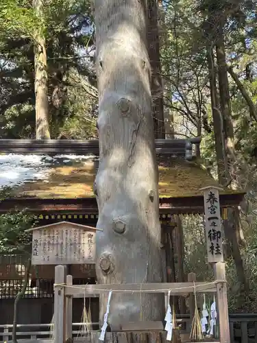 諏訪大社下社春宮(長野県)