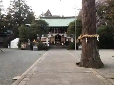 比々多神社のその他建物