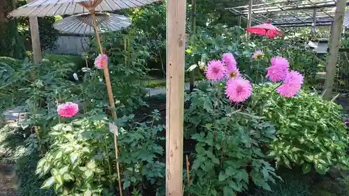 上野東照宮の庭園