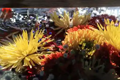 豊景神社の手水舎