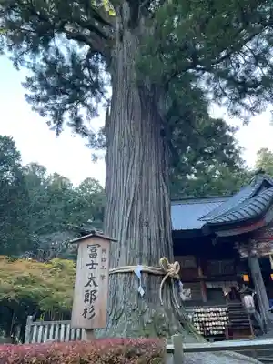 北口本宮冨士浅間神社(山梨県)