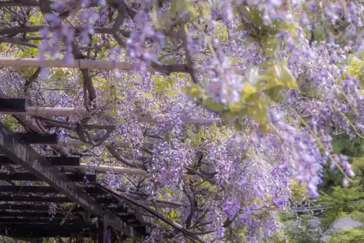 辛國神社の自然