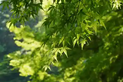 杉山谷不動尊(京都府)