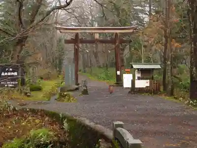 戸隠神社奥社の鳥居