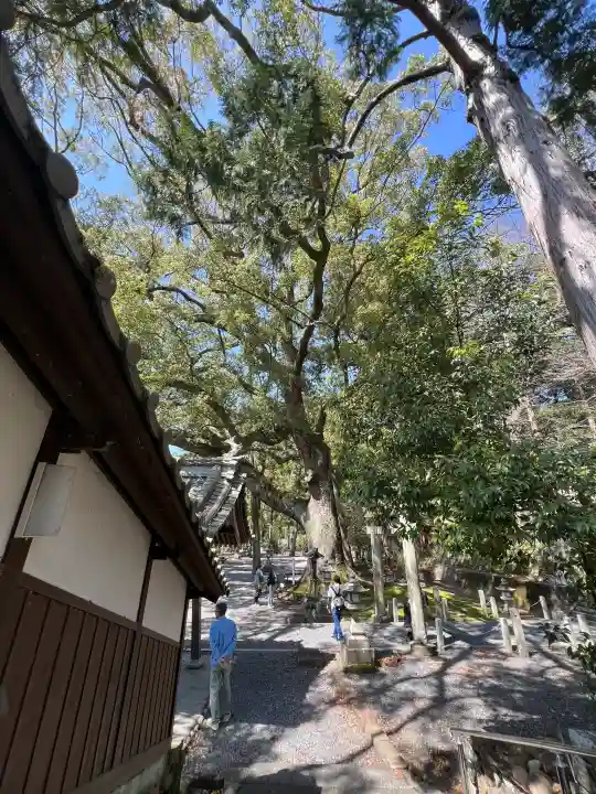 事任八幡宮(静岡県)