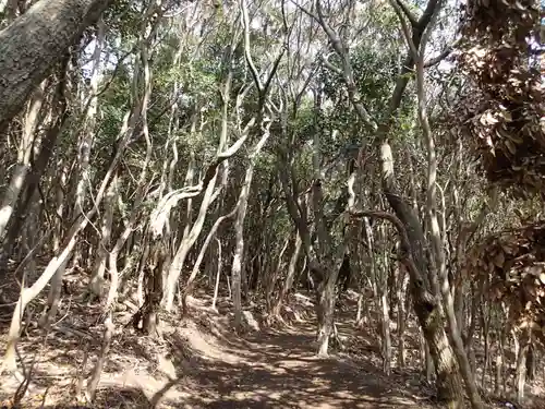 胡禄神社の自然