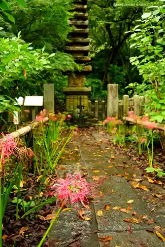高幡不動尊　金剛寺(東京都)