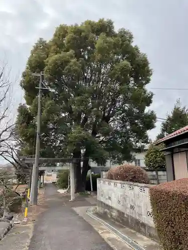 天満天神社の鳥居