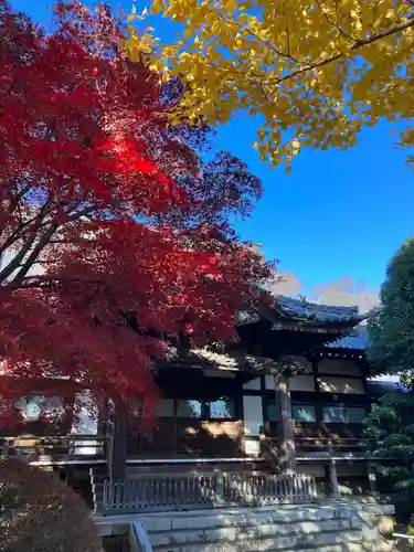 高円寺(東京都)
