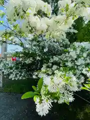 岡湊神社(福岡県)