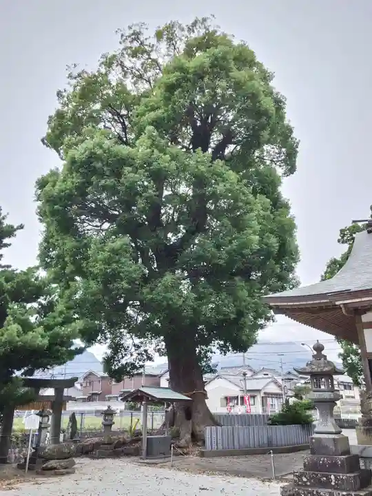 三会温泉神社の自然
